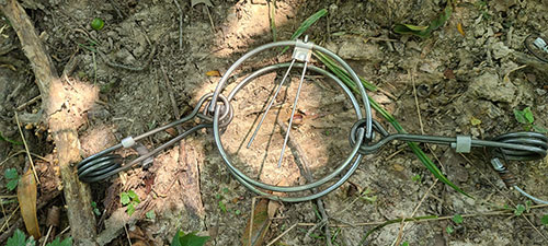 Foothold Traps for sale
