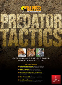 Download the Predator Tactics PDF Compilation