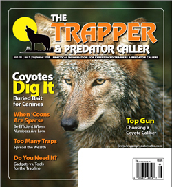September 2008 Issue
